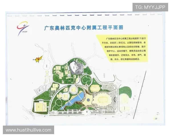 伟德国际体育多元化体育赛事覆盖，满足不同玩家的投注偏好与需求分析